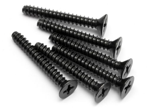 Flat Head 4x30 Screw (6)